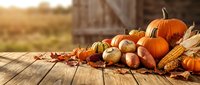 Autumn harvest display with orange pumpkins, gourds, corn and fall leaves on rustic wooden table with warm sunlight and barn background for seasonal decor.