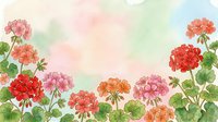 Watercolor geranium flowers in red, pink and orange shades on a soft pastel background, perfect for greeting cards, prints and summer decor.