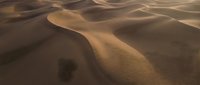 Golden sand dunes with smooth curves and shadows creating natural desert landscape patterns for travel and nature backgrounds.