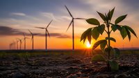 Young green plant sprouting from soil with wind turbines at sunset symbolizing renewable energy and sustainable growth for environmental projects.