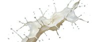 Creamy white milk splash with dynamic droplets and flowing liquid motion isolated on transparent background for beverage and dairy product designs.