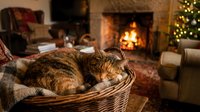 Cozy tabby cat sleeping peacefully in wicker basket by warm fireplace during Christmas season. Perfect for holiday greeting cards and home decor projects.