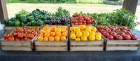 Fresh organic produce displayed in wooden crates at farmers market including colorful tomatoes, bell peppers, citrus fruits and leafy greens arranged in neat rows.