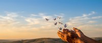 Hands releasing paper butterflies into sunset sky symbolizing freedom, transformation and new beginnings with warm golden light and peaceful landscape.