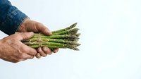 Farmer's hands holding fresh green asparagus spears against white background. Suitable for organic produce, agriculture, and food marketing materials.
