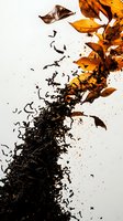 Scattered autumn leaves transforming into dark particles and fragments against white background, creating dynamic upward motion and abstract composition.