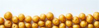 Fresh yellow potatoes arranged in neat rows on light blue background, raw organic produce for healthy cooking and food preparation concepts.