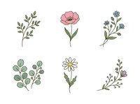 Botanical line art illustrations featuring delicate hand-drawn wildflowers, greenery, and foliage elements isolated on white background, perfect for design projects.
