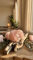 Rose quartz crystal with pink flowers on driftwood in cozy home interior for wellness meditation and spiritual healing practices.