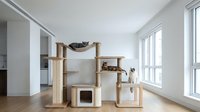 Modern wooden cat tree tower with multiple levels and cozy hideouts in bright contemporary living room interior for pet furniture and home decor.