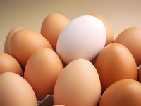 Fresh brown and white chicken eggs arranged together in carton, showing natural color variation and texture. Close-up food photography with soft lighting.