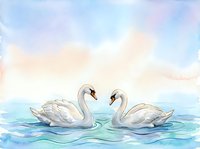 Two white swans face each other on calm turquoise water in soft watercolor style, perfect for romantic wedding designs, nursery decor, and greeting cards.