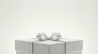 Wrapped gift box with silver bow on neutral background, isolated for design use on greeting cards, invitations, and holiday marketing materials.