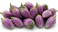 Fresh purple striped eggplants arranged in group on white background, organic farm vegetables with green stems isolated for food and culinary design.