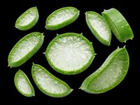 Fresh lime slices isolated on transparent background, ready for t-shirt designs, clipart, stickers, sublimation and print-on-demand products.