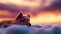 Peaceful red fox sleeping on snowy mountain peak during golden sunset with dramatic orange and purple sky clouds creating serene winter wilderness scene.