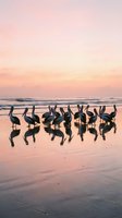 Flock of pelicans standing on wet beach sand with reflections during golden hour sunset creating peaceful coastal wildlife scene.