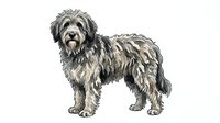Shaggy dog with long coat standing in profile on white background, isolated for design use on apparel and merchandise.