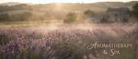 Purple lavender field at golden hour sunset with warm sunlight creating peaceful countryside atmosphere for wellness and relaxation concepts.