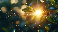 Sunlight breaking through green leaves with morning dew drops creating magical bokeh effect in nature. Ethereal forest atmosphere with golden sunburst and sparkling water droplets.