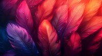 Vibrant feathers in pink, purple, and orange hues with glowing sparkles against dark background create magical atmosphere for fantasy and mystical designs.