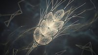 Glowing dandelion seed head with delicate filaments on dark background, suitable for nature, botanical, and abstract design projects.