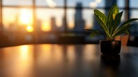 Potted green plant silhouetted against blurred urban sunset view through window. Minimalist office desk scene with warm evening light and city skyline backdrop.