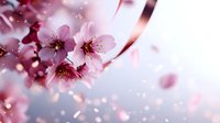 Pink cherry blossoms in soft focus with falling petals against blurred background, creating dreamy spring atmosphere with natural bokeh light effect.