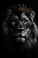 Majestic black lion with piercing blue eyes wearing golden crown against dark background, dramatic lighting highlights facial features and mane for artistic effect.