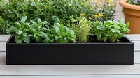 Fresh herbs growing in modern black rectangular planter box on wooden deck, featuring basil and thyme plants with vibrant green foliage for garden and food concepts.