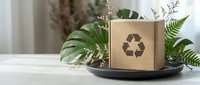Eco-friendly cardboard box with recycling symbol surrounded by green plants and ferns on white surface promoting sustainable packaging solutions.