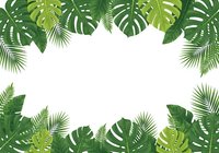 Tropical leaves frame with monstera and palm fronds creating natural border on white background for summer design projects and botanical decorations.