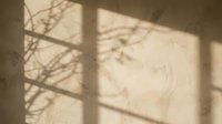 Sunlight streaming through window casting shadows of bare tree branches on beige wall, creating natural light patterns for interior design and architectural photography.