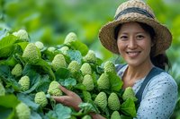 Smiling Asian female farmer in straw hat harvesting fresh green strawberries from plantation, showcasing sustainable agriculture and organic farming.
