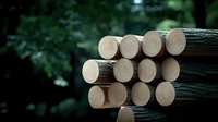 Stacked natural wood logs showing annual growth rings against dark forest background, raw timber materials arranged in geometric pattern for construction or crafts.