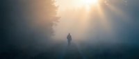 Silhouette of person walking through misty forest with dramatic sunbeams breaking through fog and trees creating atmospheric moody landscape scene.