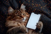 Fluffy orange tabby cat holding smartphone with blank white screen against starry night background with golden bokeh lights for mobile app mockup design.