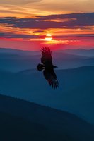 Majestic eagle soaring against dramatic sunset sky with vibrant orange and red clouds over misty blue mountain ranges, creating powerful silhouette in nature.
