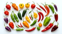 Colorful assortment of fresh hot chili peppers in various shapes and sizes arranged on white background. Perfect for cooking, spice collection displays.