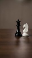 Black queen and white knight chess pieces facing each other on wooden board representing strategic competition and tactical gameplay.