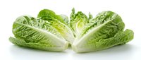 Fresh romaine lettuce hearts cut in half showing crisp green leaves and white stems isolated on white background for healthy cooking and salad preparation.