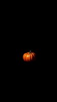 Single orange pumpkin on black background with dramatic lighting creates minimalist autumn composition. Suitable for seasonal marketing and Halloween designs.