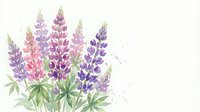 Watercolor lupine flowers in purple and pink hues with green leaves on white background, botanical illustration for spring garden designs and floral decor.