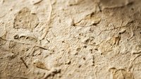 Close-up of rough textured clay or mud surface with natural cracks and organic debris, earthy brown tones for construction and natural material backgrounds.