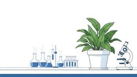 Laboratory workspace with green plant, microscope and glassware for scientific research and botanical studies in modern lab setting.