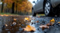 Wet asphalt road with scattered autumn maple leaves and blurred car in background, dramatic low angle view capturing fall season atmosphere and rainy weather.