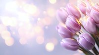 Pink tulip bouquet against soft bokeh background with glowing light circles creates dreamy spring atmosphere for romantic and seasonal designs.