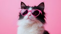 Stylish black and white kitten wearing pink heart-shaped sunglasses on vibrant pink background for trendy pet fashion and social media content.