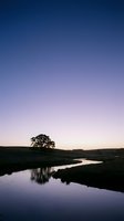 Tranquil countryside landscape with lone tree silhouette reflected in calm river during twilight hour with purple gradient sky for nature backgrounds.