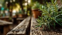 Fresh rosemary herb sprigs on rustic wooden table with warm bokeh background for culinary cooking and natural ingredient concepts.